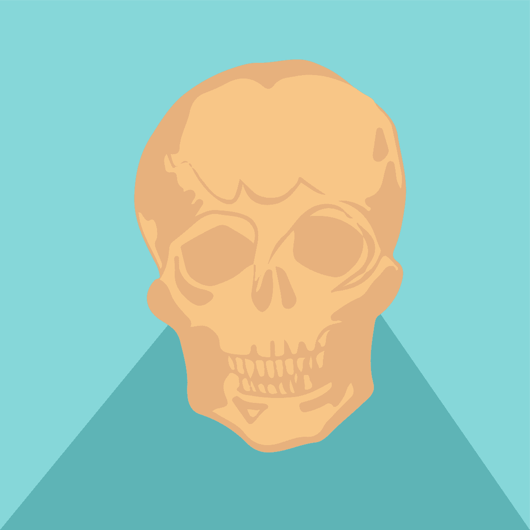 Stylized Human Skull on Teal Triangular Transparent Background