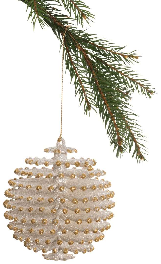 Transparent Ornament Hanging on Evergreen Branch