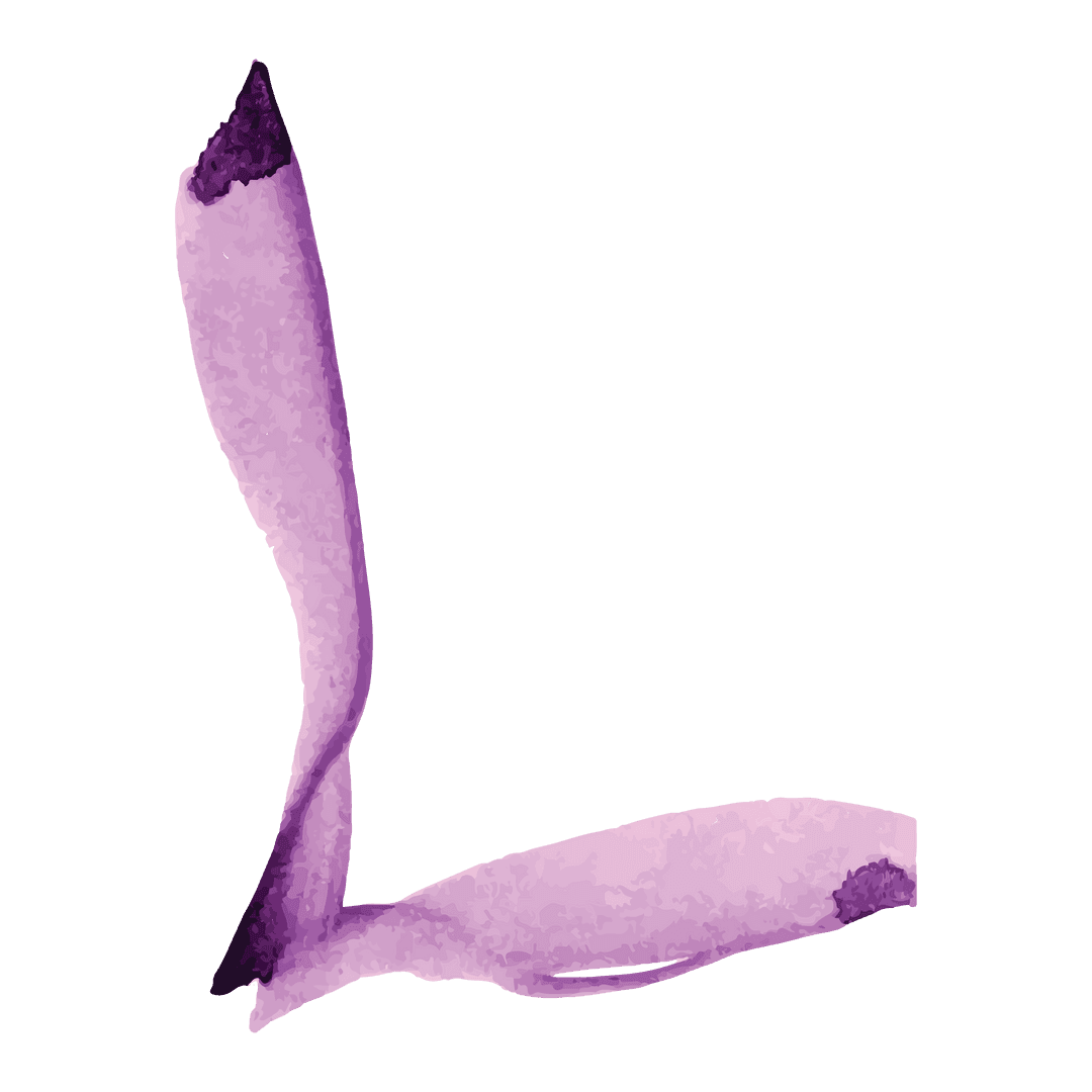 Abstract Pink Artistic Shape on Transparent Background