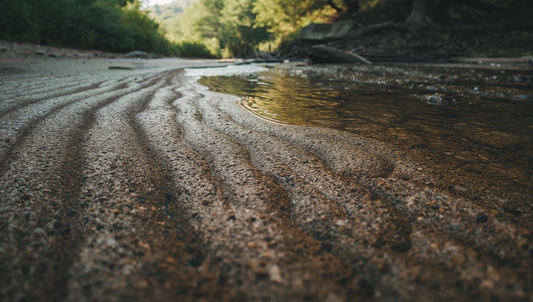 Wet Sand Ripples Leading to Shallow Creek with Golden Hour Reflections
