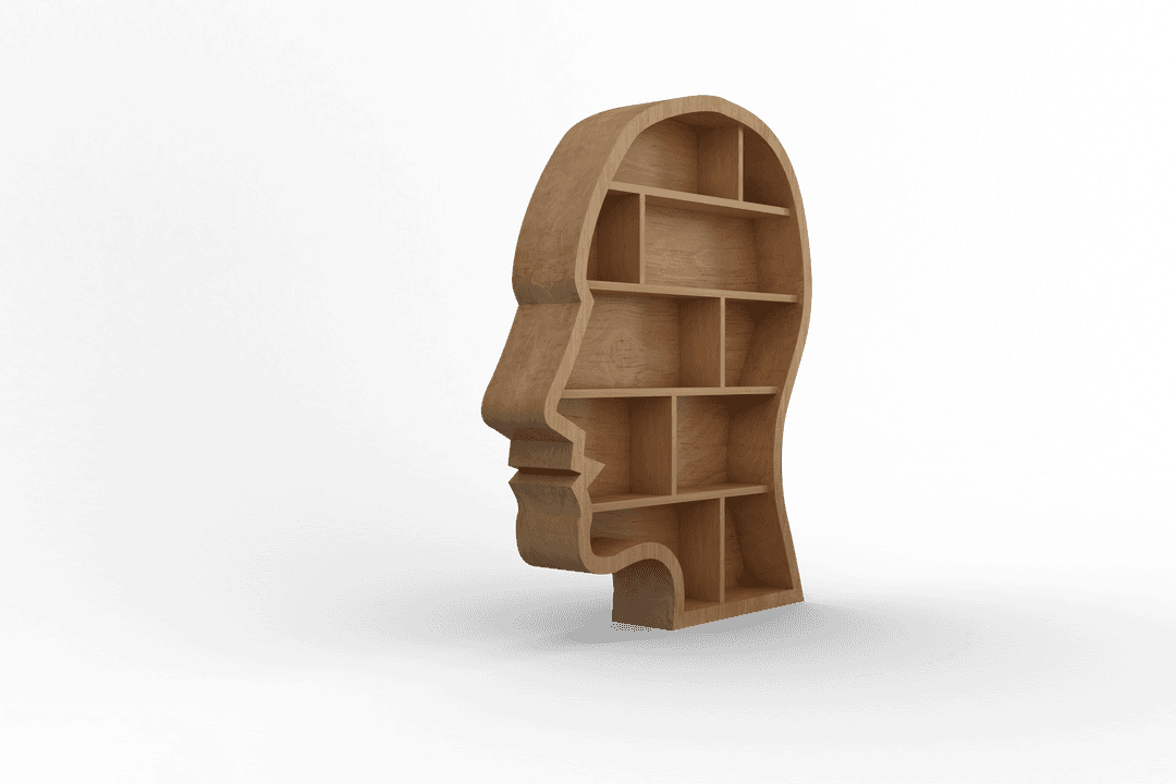 Transparent Wooden Bookshelf In Human Face Silhouette