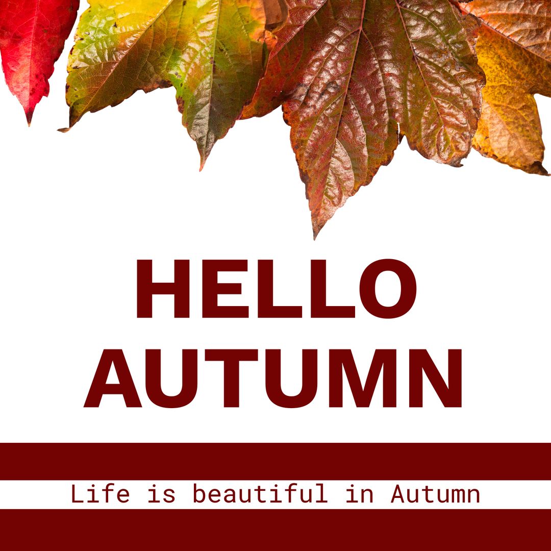 Hello Autumn Text Over Vibrant Fall Leaves on White Background - Download Free Stock Templates Pikwizard.com