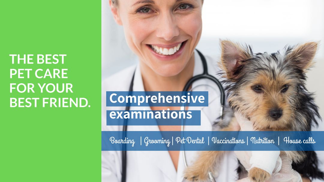 Smiling Veterinarian Holding Puppy Promotes Pet Care Services