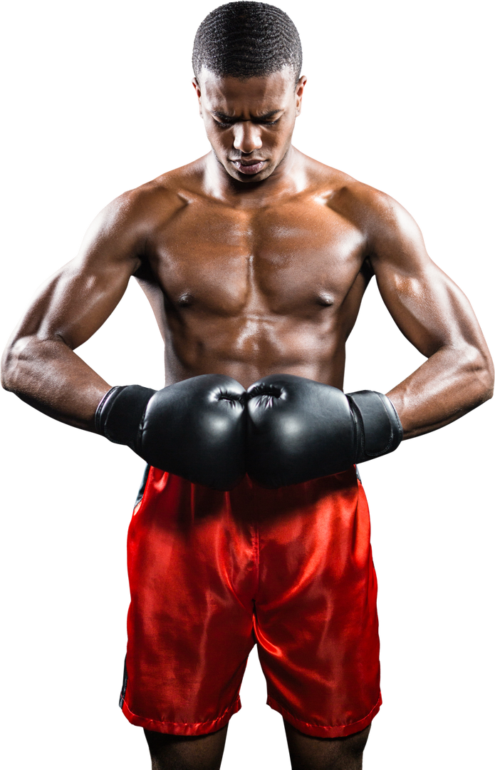 Transparent Serious Boxer Posing in Red Trunks with Gloves - Download Free Stock Images Pikwizard.com