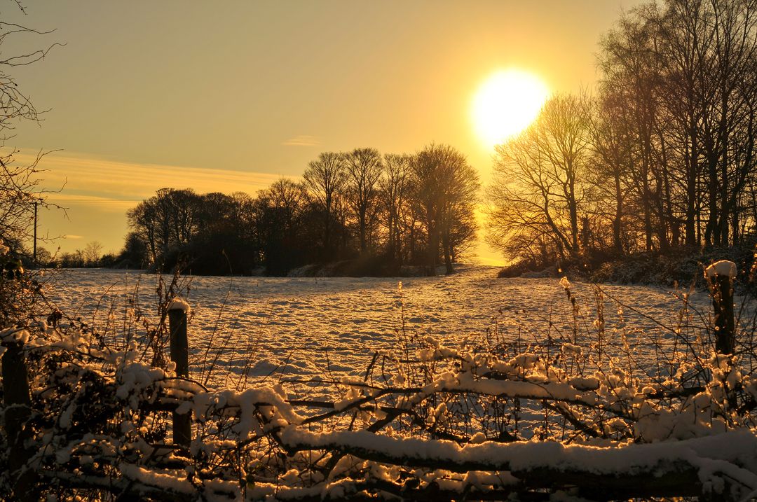 Idyllic Winter Sunset Over Snowy Field and Bare Trees - Free Images, Stock Photos and Pictures on Pikwizard.com