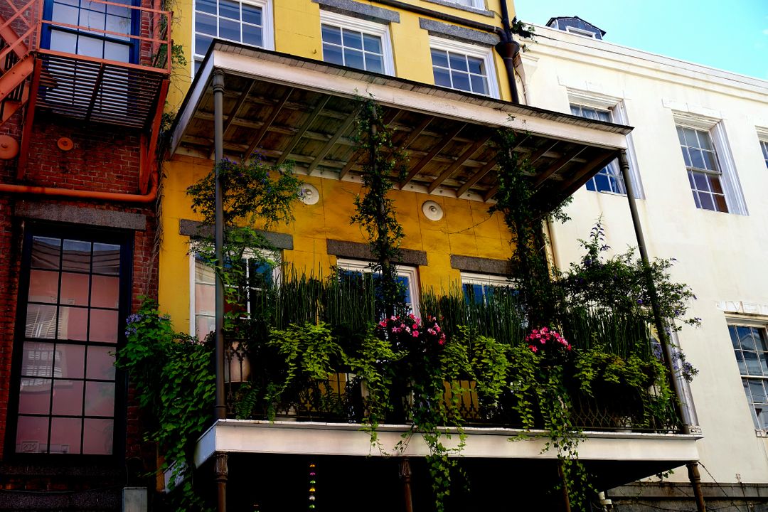 Colorful Building Exterior with Balcony Garden - Free Images, Stock Photos and Pictures on Pikwizard.com