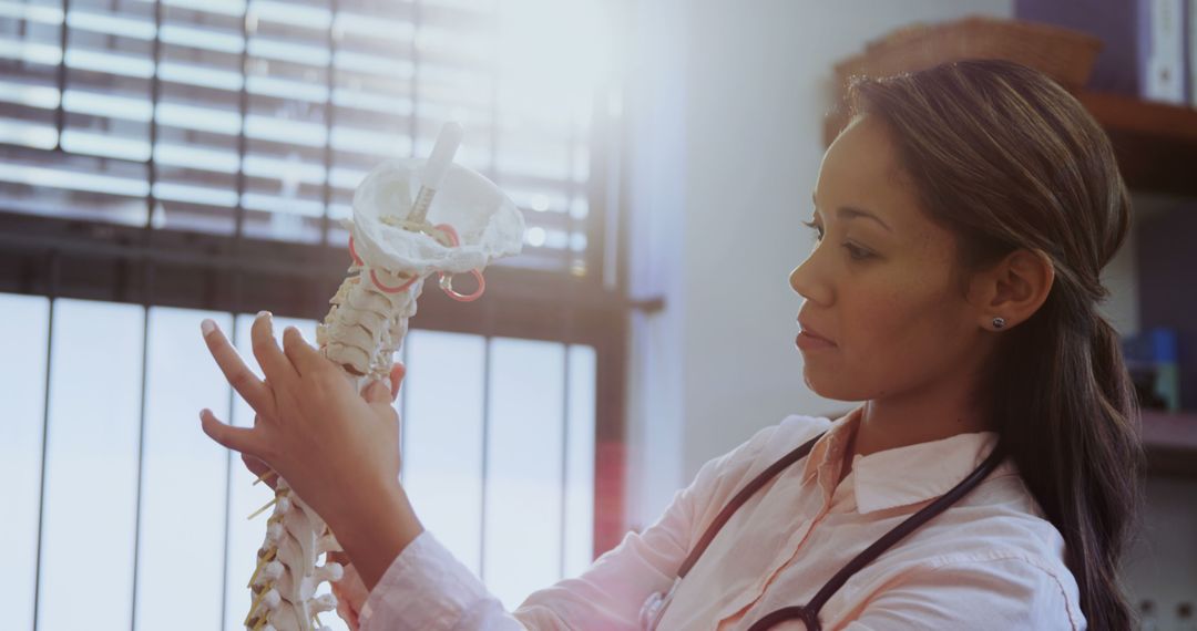 Female Doctor Examining Anatomical Spine Model in Medical Office - Free Images, Stock Photos and Pictures on Pikwizard.com