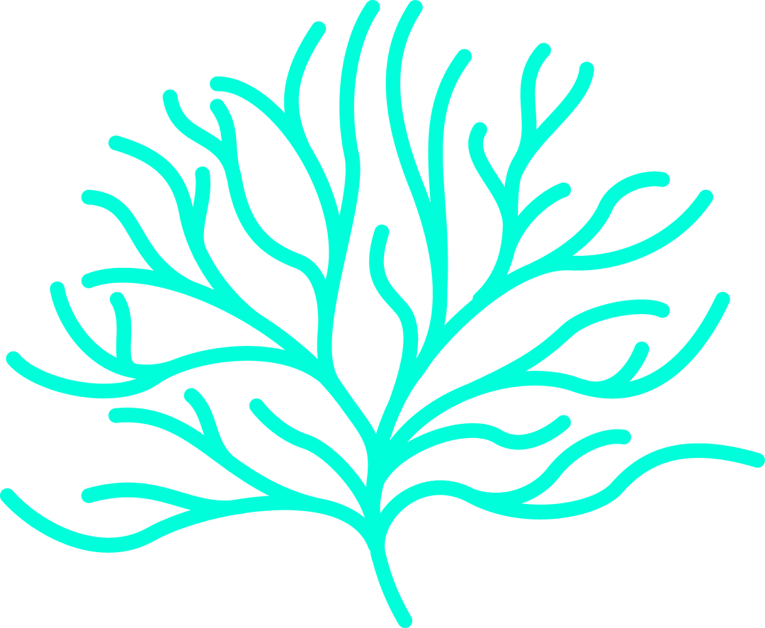 Abstract Turquoise Branch Art on Transparent Background
