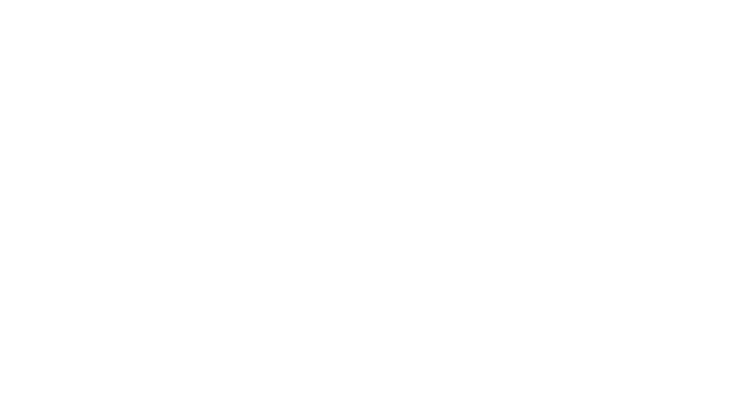 Elegant Ornate Lace Frame with Floral Motifs on Transparent Background