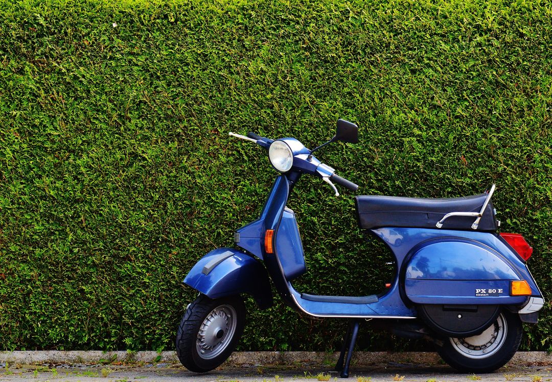 Blue Moped by Green Bush at Roadside - Free Images, Stock Photos and Pictures on Pikwizard.com