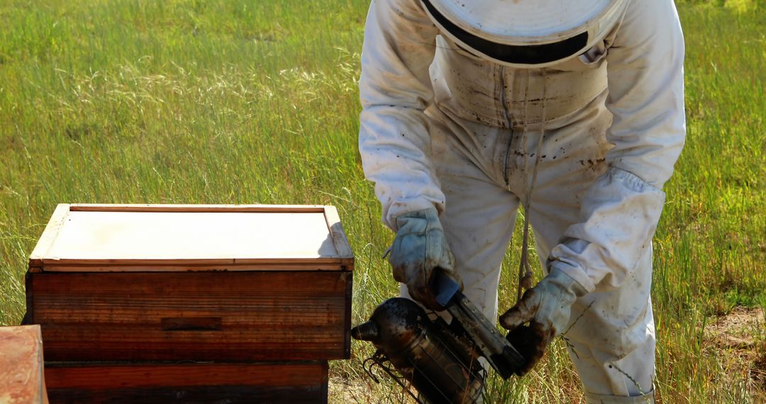 Beekeeper Inspecting Hive in Protective Gear - Free Images, Stock Photos and Pictures on Pikwizard.com