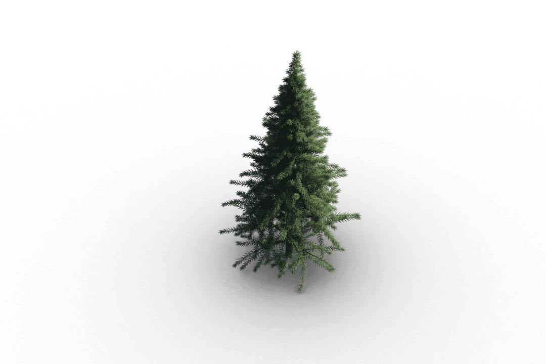 Transparent Green Christmas Tree on Isolated Background