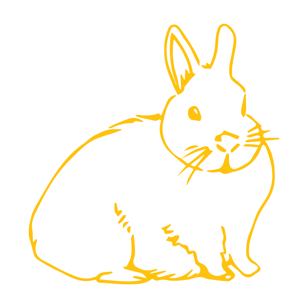 Yellow Bunny Illustration on Transparent Background for Easter