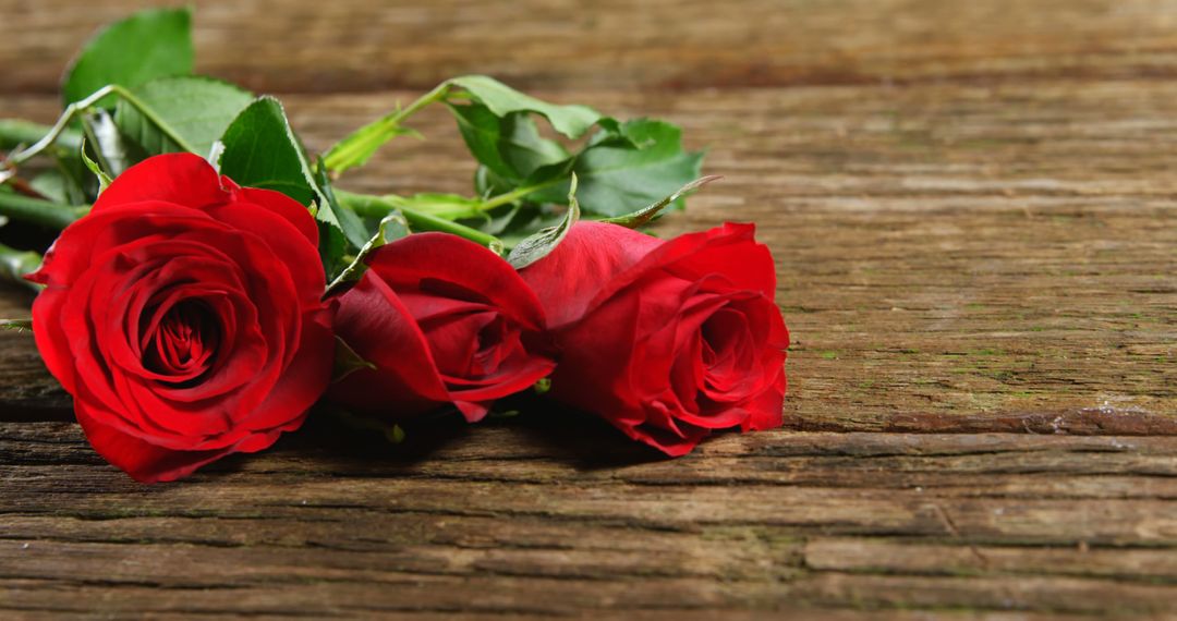 Three Red Roses on Wooden Surface Symbolizing Love and Romance - Free Images, Stock Photos and Pictures on Pikwizard.com
