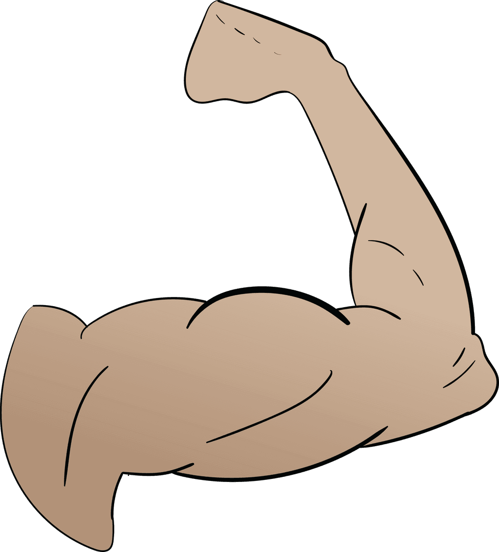 Transparent Vector of Flexed Muscular Arm Showing Strength