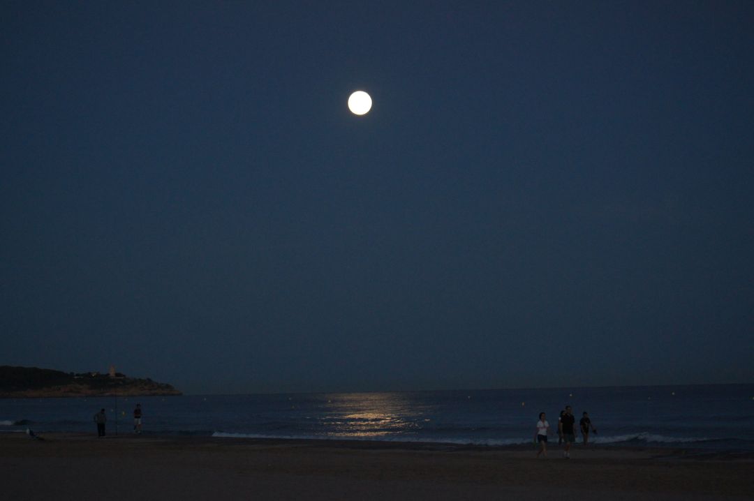 Full Moon Over Ocean with People Walking on Sandy Beach at Night - Free Images, Stock Photos and Pictures on Pikwizard.com