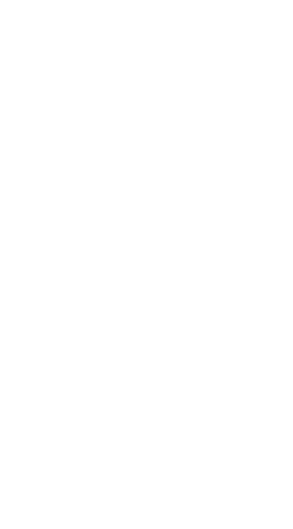 Transparent Silhouette of Male Touchdown in American Football - Download Free Stock Images Pikwizard.com