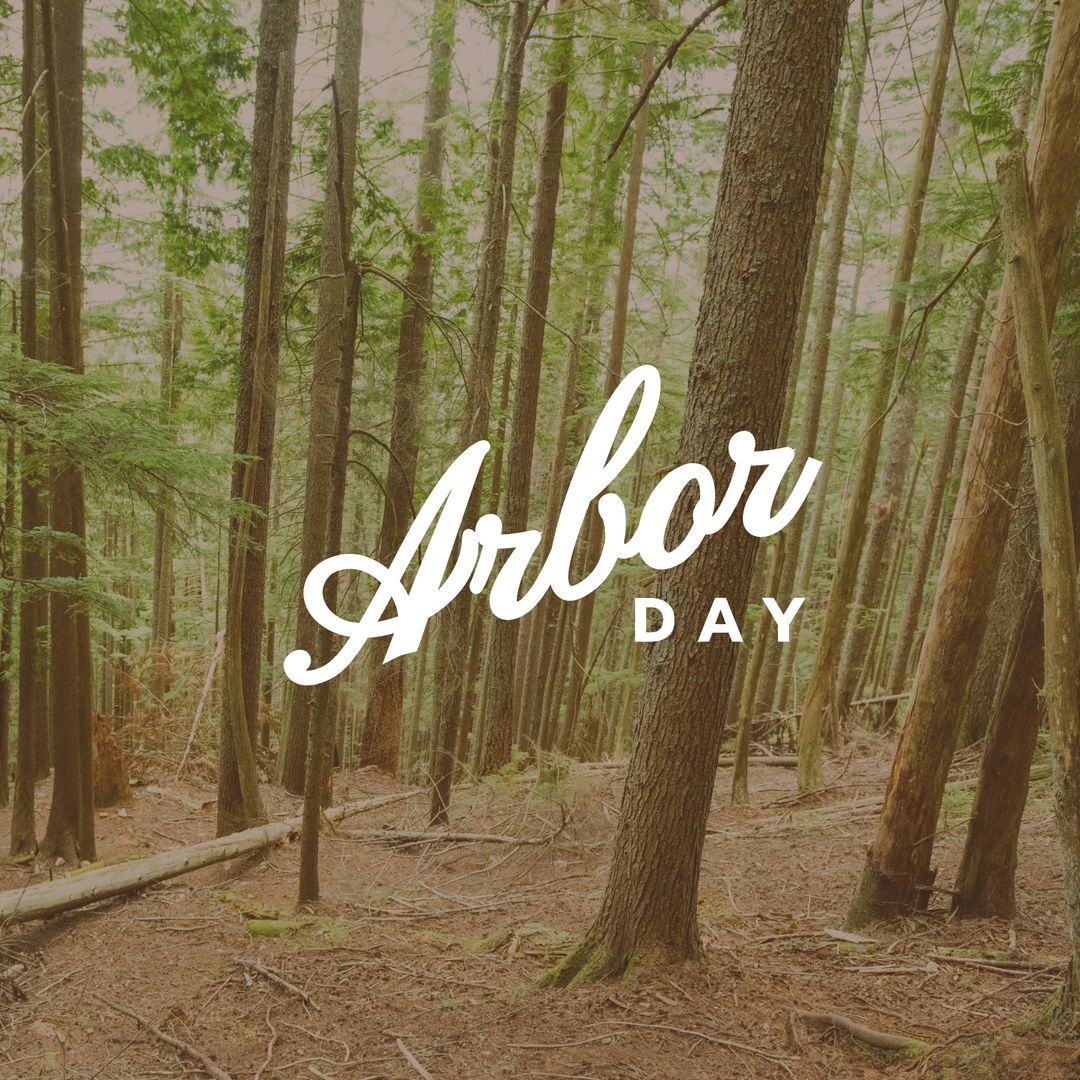 Arbor Day Celebration in Serene Forest