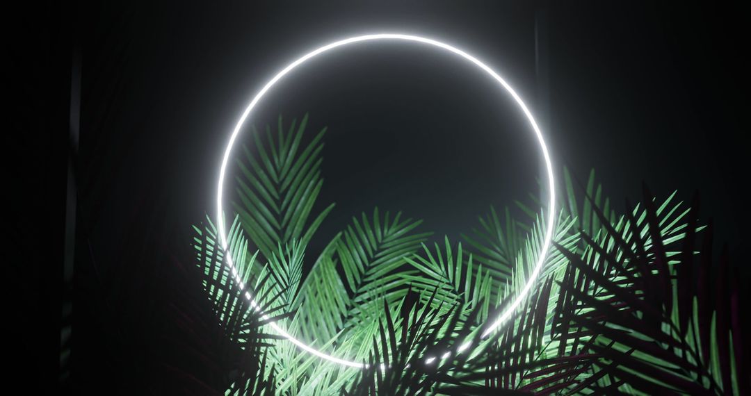 Neon Circle Illuminating Tropical Palm Leaves in Darkness - Free Images, Stock Photos and Pictures on Pikwizard.com