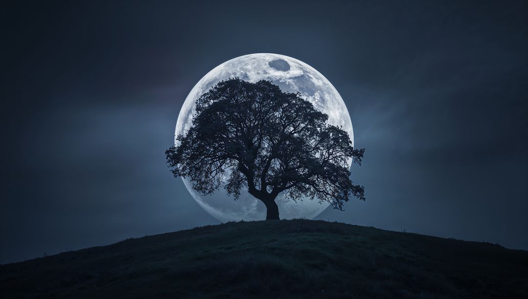 Solitary Tree Silhouette Under Luminous Full Moon Night