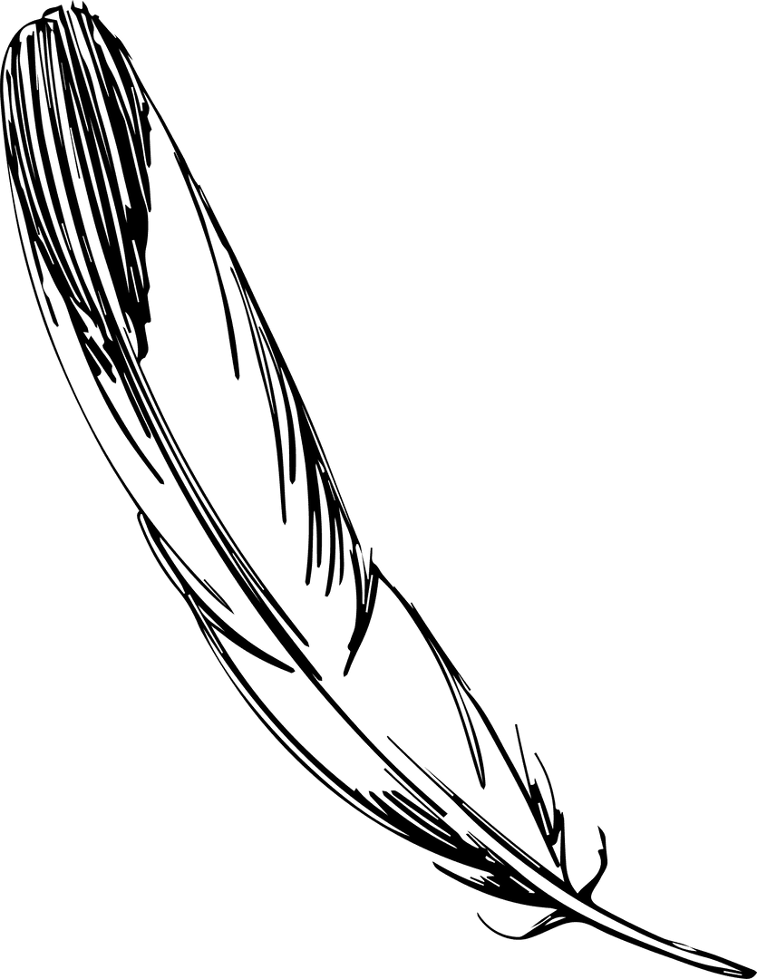 Single Black Ink Sketch of Bird Feather on Transparent Background