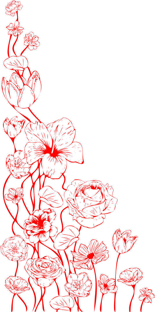 Red Floral Vine Illustration on Transparent Background, Ornamental Design