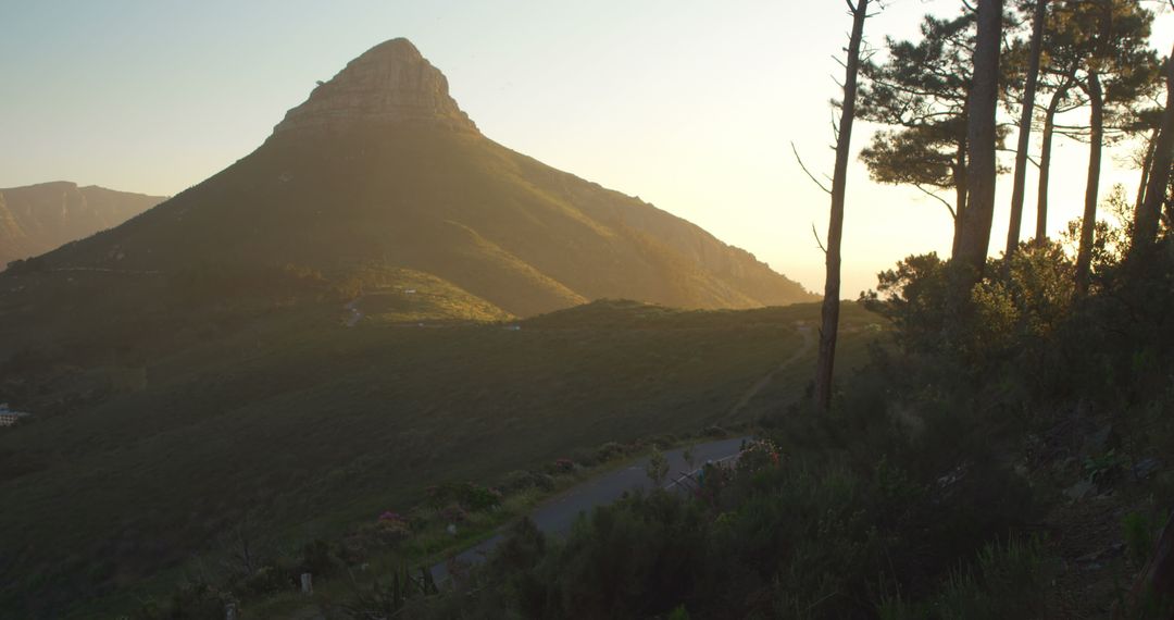 Scenic Morning View of Mountain Landscape with Trees and Road