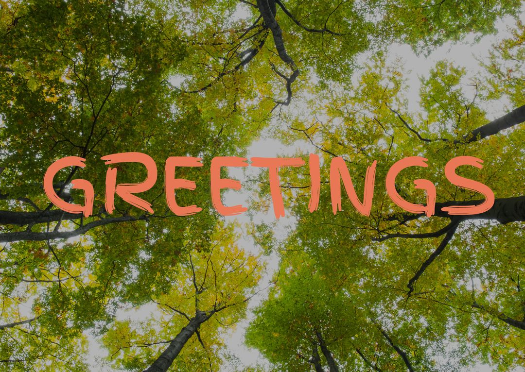 Bright Forest Canopy with Greetings Text Overlay