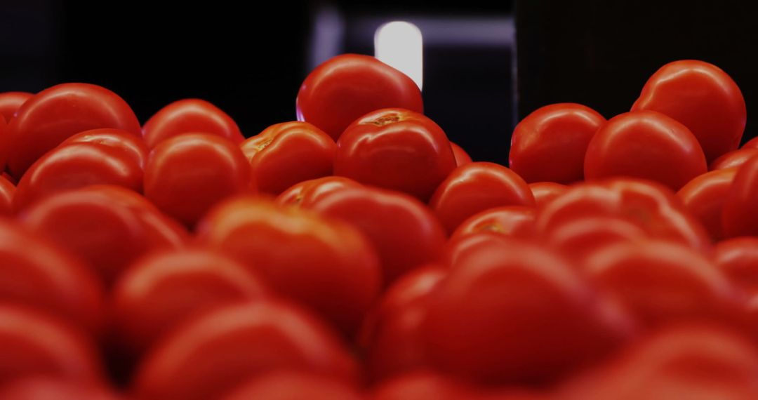 Vibrant Ripe Tomatoes Displayed at Produce Section