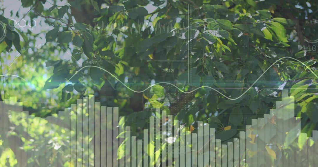 Nature with Digital Data Overlay Illustrating Environmental Analytics