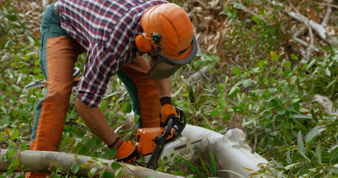 Lumberjack Cutting Wooden Log in Forest with Chainsaw in Action - Free Images, Stock Photos and Pictures on Pikwizard.com