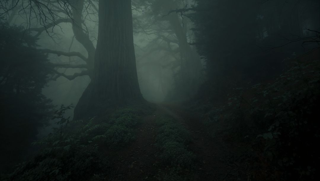 Mysterious Foggy Forest Path in Dense Mist