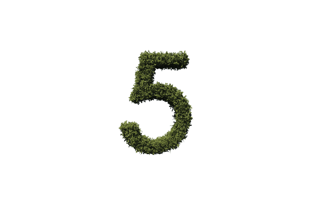 Transparent Leafy Number 5 Design on Transparent Background
