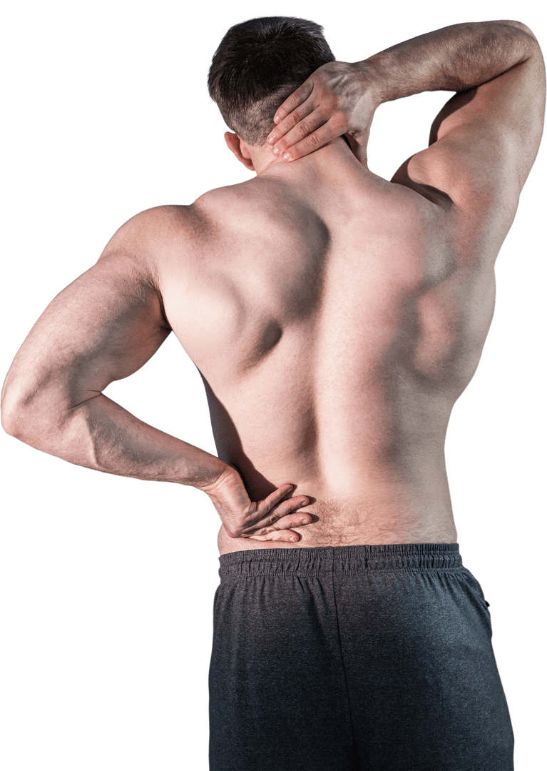 Transparent Back View of Muscular Caucasian Man Isolated for Health Concept