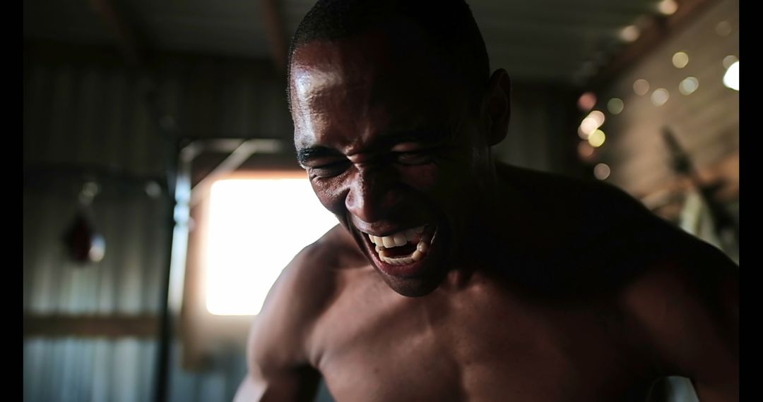 Aggressive Boxer Shouting in Shadowy Gym Environment