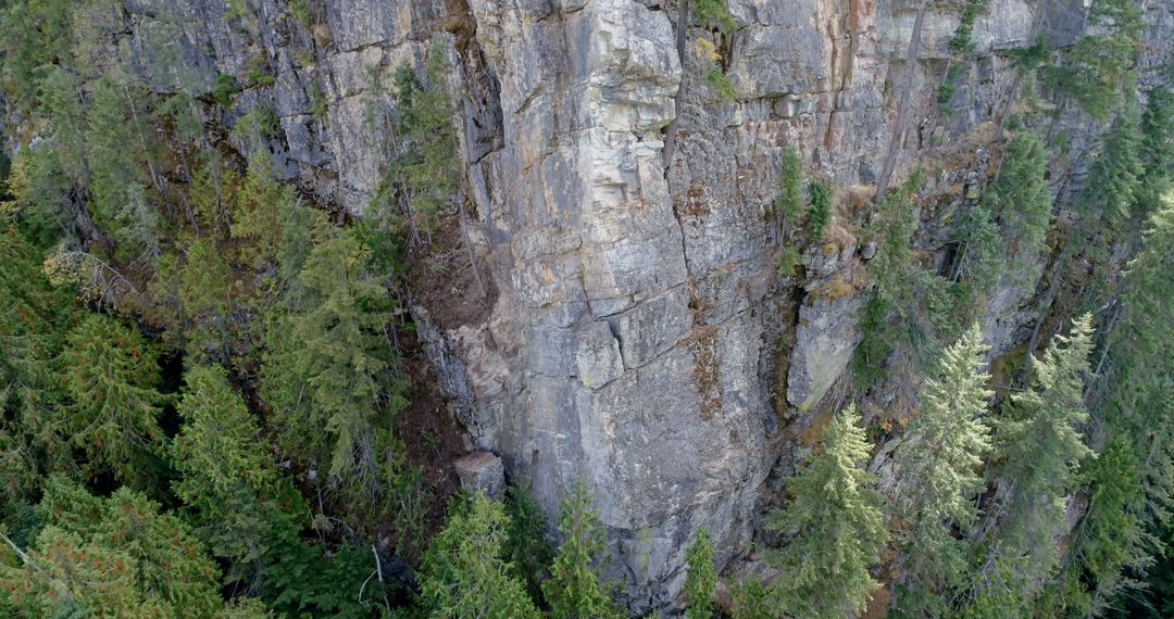 Aerial view of a dense forest with a towering cliff face - Free Images, Stock Photos and Pictures on Pikwizard.com