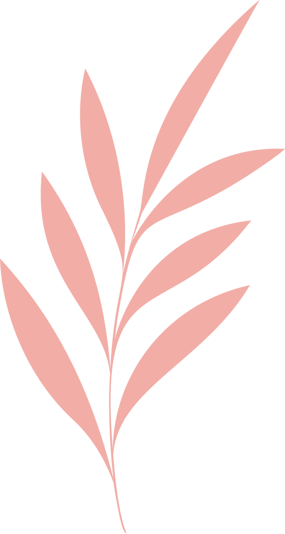 Transparent Pink Botanical Branch with Minimal Design