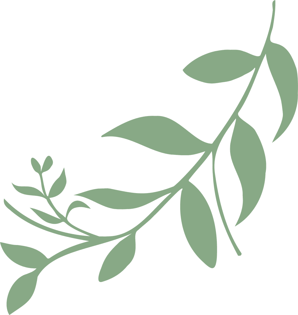 Stylized Green Botanical Branch with Leaves on Transparent Background