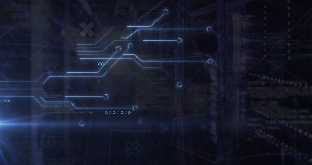 Digital interface with global network diagrams over server