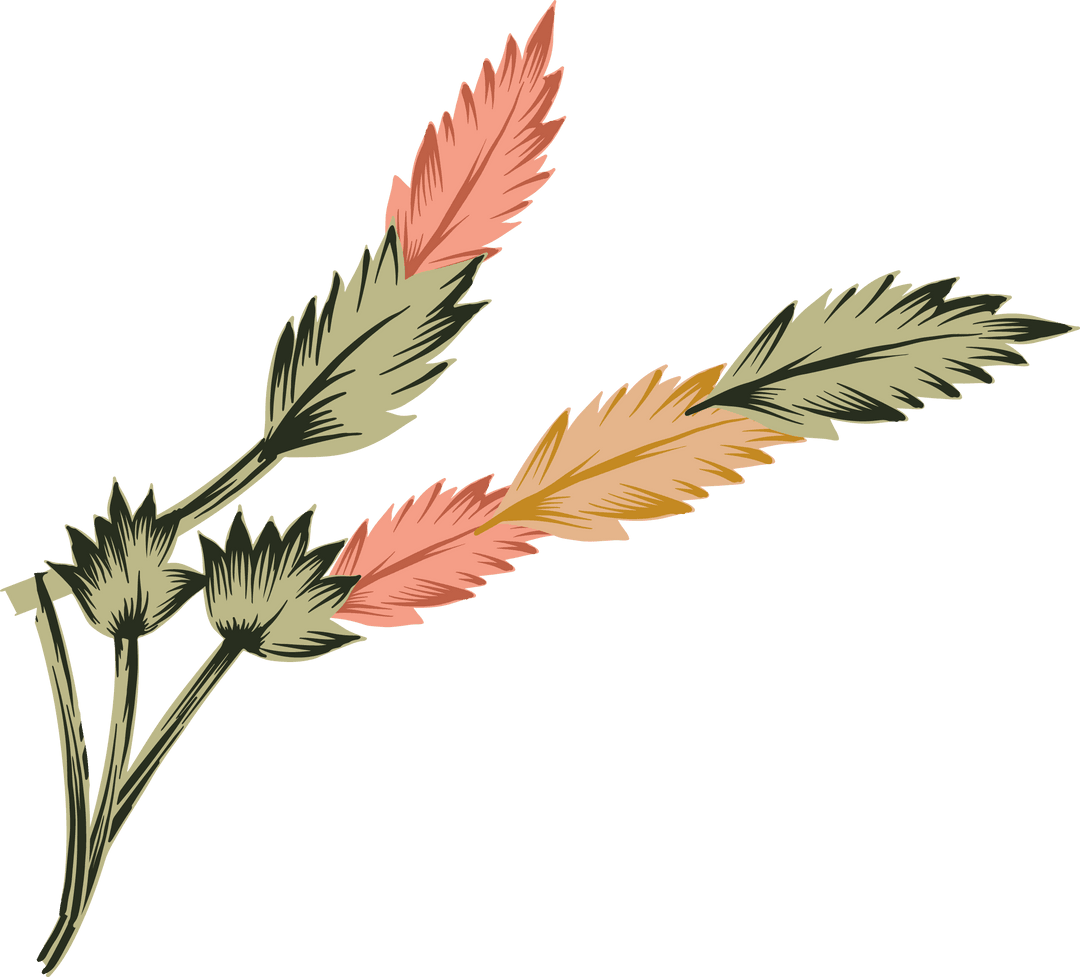 Hand-Drawn Botanical Stems with Pastel Feathers on Transparent Background