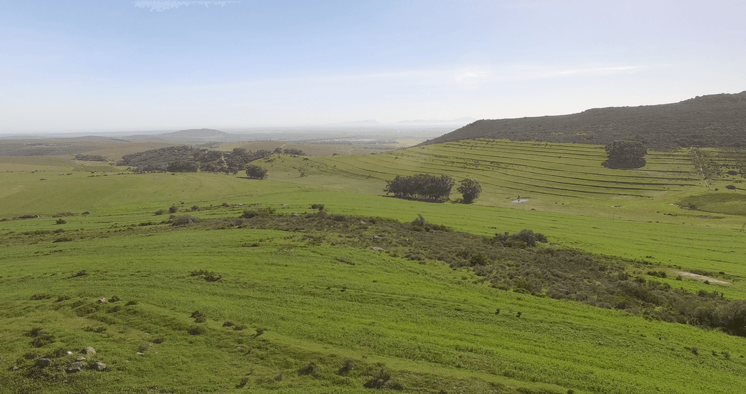 Transparent Green Hills and Open Fields Against Clear Sky