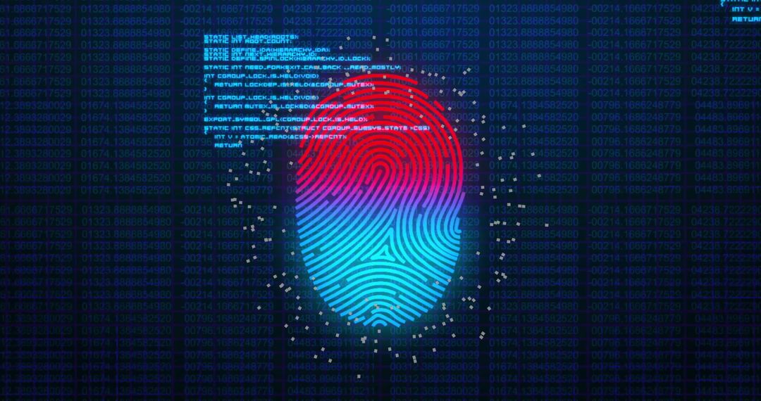 Digital fingerprint with binary data overlaying