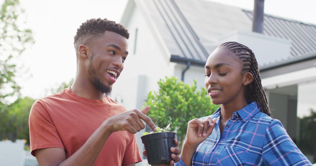 Happy african american couple with plant sprout in backyard - Free Images, Stock Photos and Pictures on Pikwizard.com