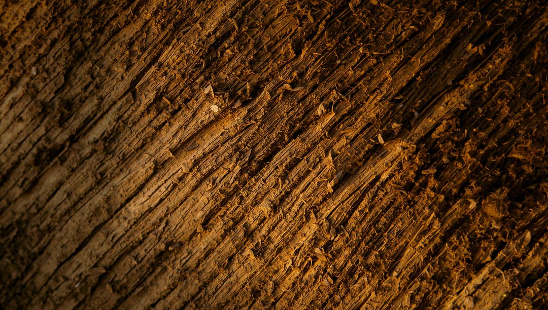 Diagonal Fibrous Tree Bark Texture in Warm Amber Light Close-Up Macro Surface Detail HD