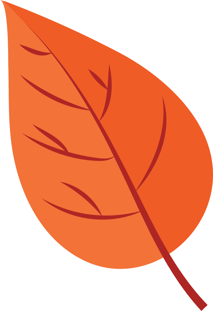 Vibrant Orange Autumn Leaf on Transparent Background