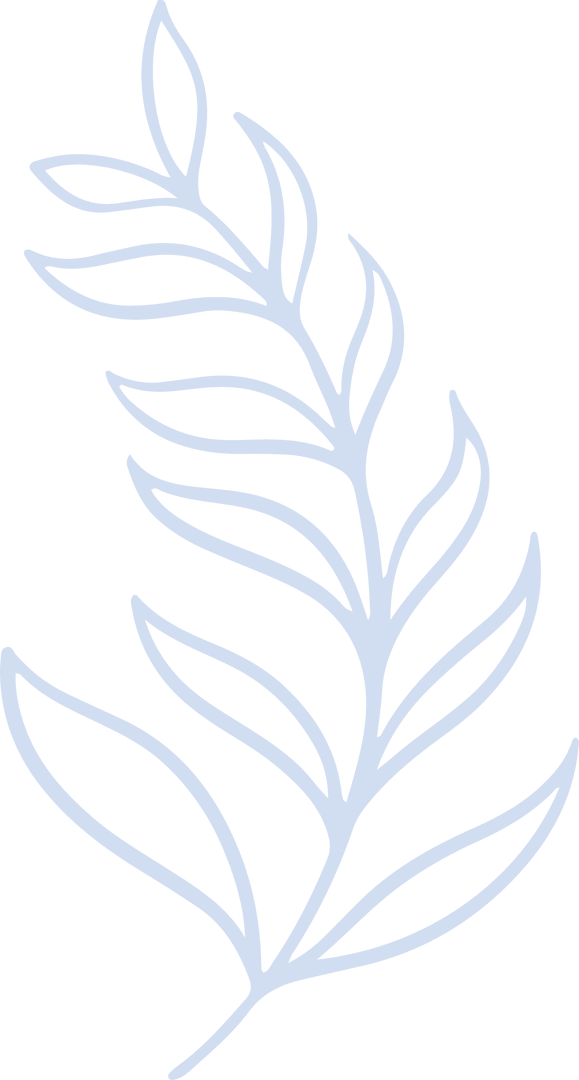 Elegant Stylized Leafy Branch with Invisible Backdrop
