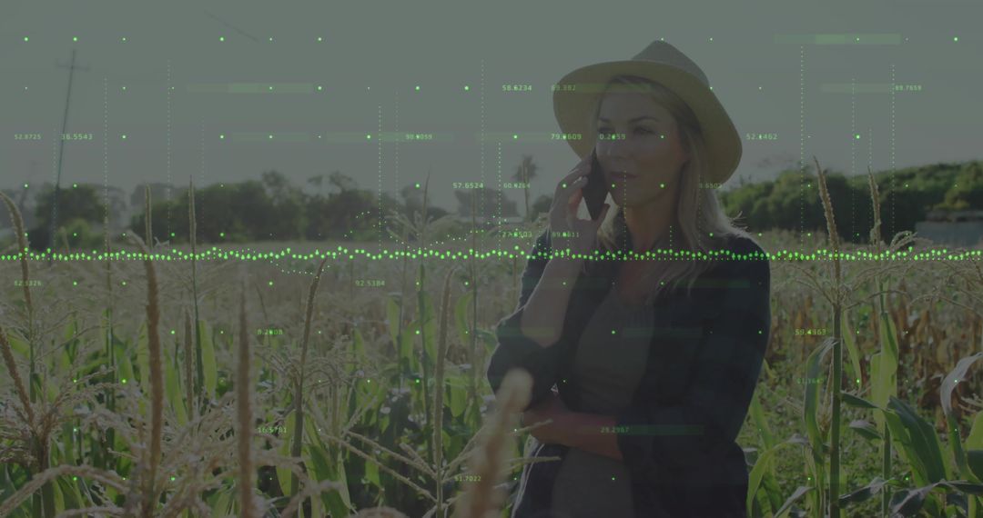 Smart Farming Concepts with Digital Data Overlay in Cornfield