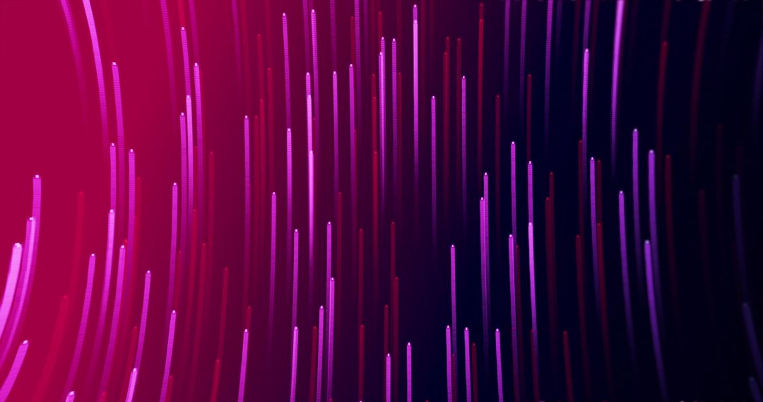 Hypnotic Pink and Purple Light Trails in Motion