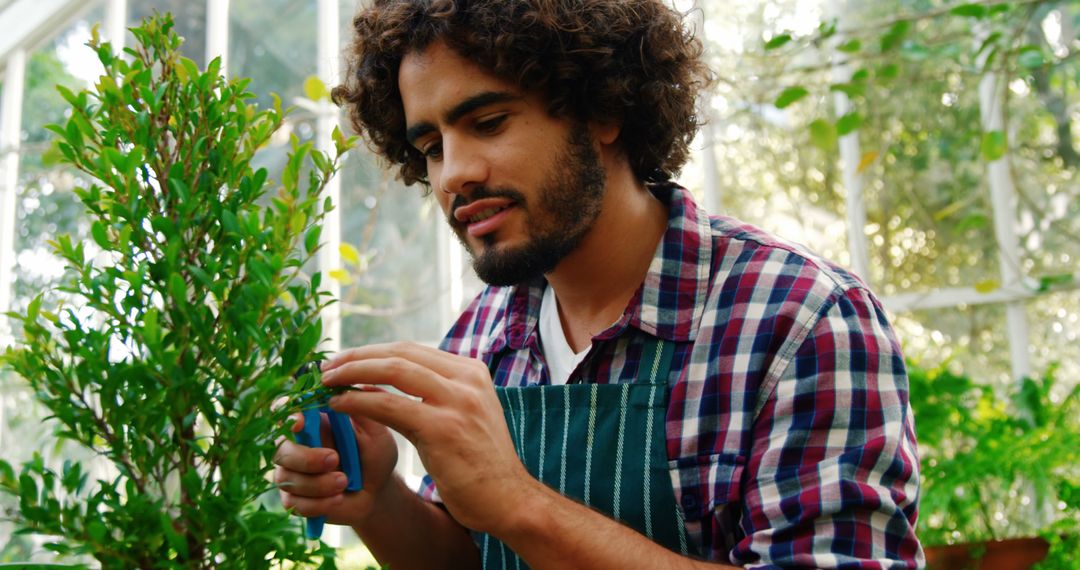 Man with Curly Hair Pruning Plant in Greenhouse - Free Images, Stock Photos and Pictures on Pikwizard.com