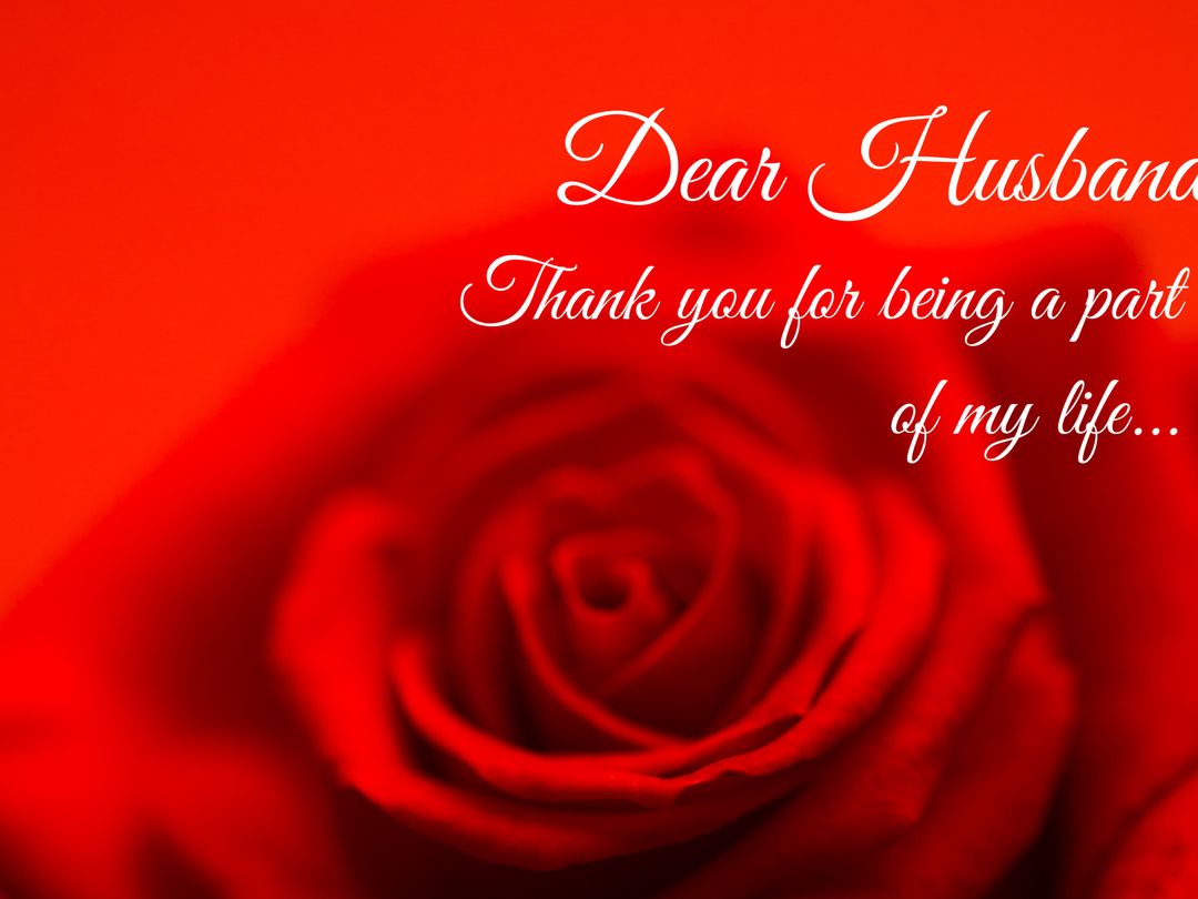 Close-up Red Rose Symbolizing Love and Gratitude